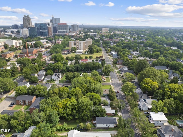 1010 S Person St, Raleigh, NC 27601 - view of urban area