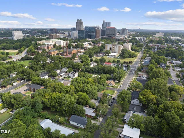 1010 S Person St, Raleigh, NC 27601 - view of urban area with a tree filled landscape