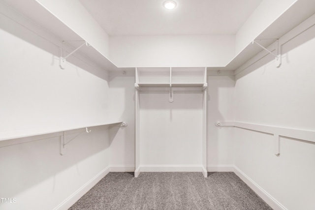 134 Cherrybirch Ln, Zebulon, NC 27597 - spacious closet featuring carpet flooring