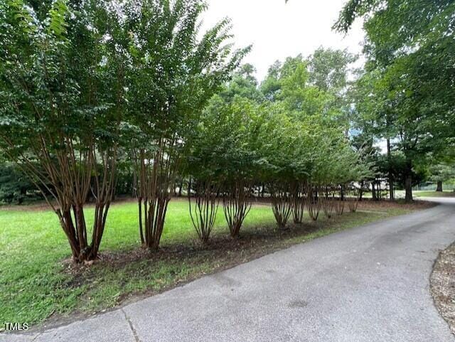 2856 Nutbush Rd, Henderson, NC 27537 - view of road