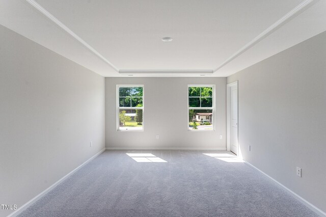 1151 Weavers Trace Dr, Zebulon, NC 27597 - carpeted spare room featuring a raised ceiling