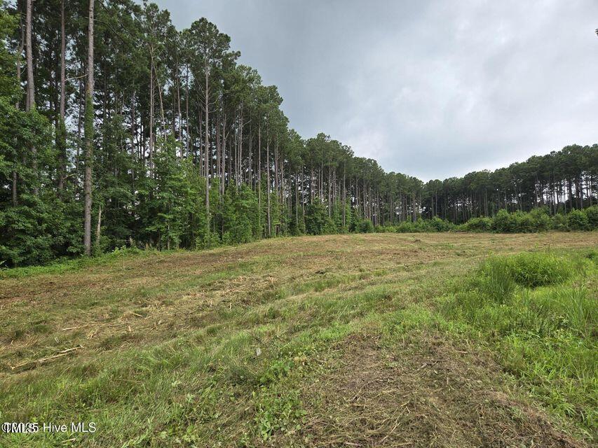 LOT50 Roseheath Ct, Bailey, NC 27807