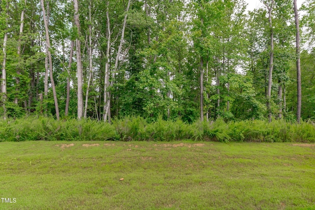 223 Aster Bloom Ln, Raleigh, NC 27610 - view of grassy yard