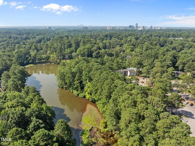 667 Pine Ridge Pl, Raleigh, NC 27609 - aerial view of property and surrounding area featuring a forest and a large body of water