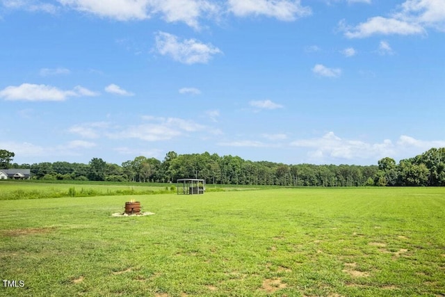 664 Rhodes Rd, Kenly, NC 27542 - photo 31