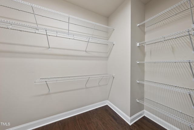 347 Country Mill Way, Fuquay Varina, NC 27526 - walk in closet with wood finished floors