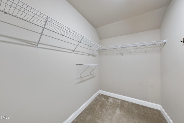 347 Country Mill Way, Fuquay Varina, NC 27526 - walk in closet with carpet flooring and lofted ceiling