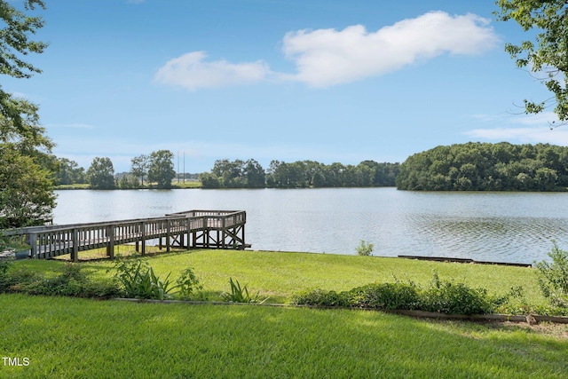 104 Park Pl, Goldsboro, NC 27534 - photo 2