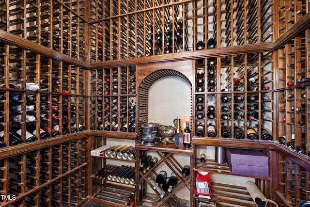 19 San Rimini Way, Durham, NC 27707 - view of wine cellar