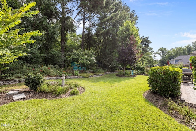 124 Moss Creek Pl, Fuquay Varina, NC 27526 - view of grassy yard