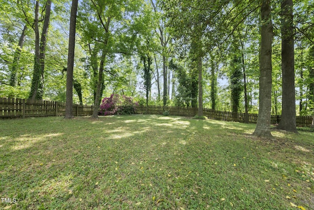 8613 Lobelia St, Raleigh, NC 27603 - view of fenced backyard