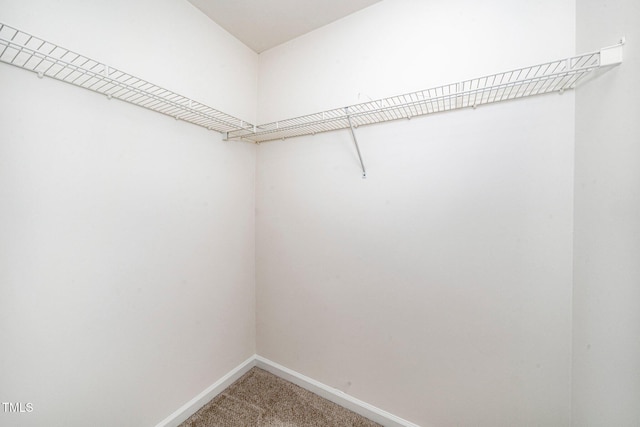 524 Summer Breeze Dr, Durham, NC 27704 - spacious closet featuring light carpet