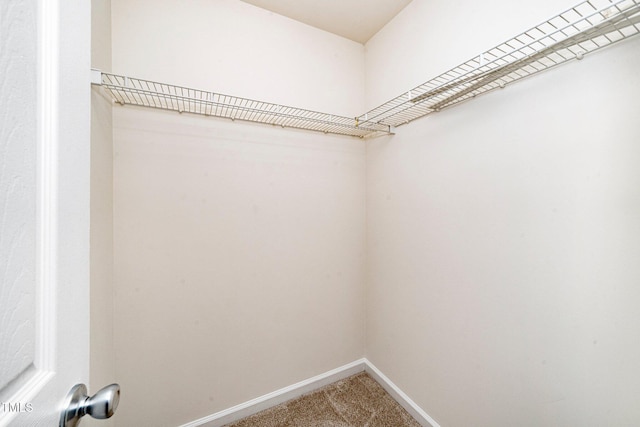 524 Summer Breeze Dr, Durham, NC 27704 - spacious closet with carpet floors