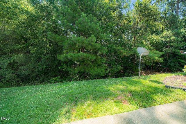 524 Summer Breeze Dr, Durham, NC 27704 - view of yard