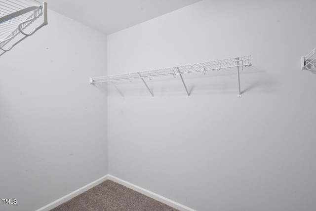 8412 Pilots View Dr, Raleigh, NC 27617 - photo 21