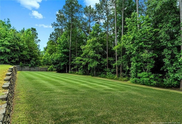 49 Infantry Dr, Cameron, NC 28326 - photo 26