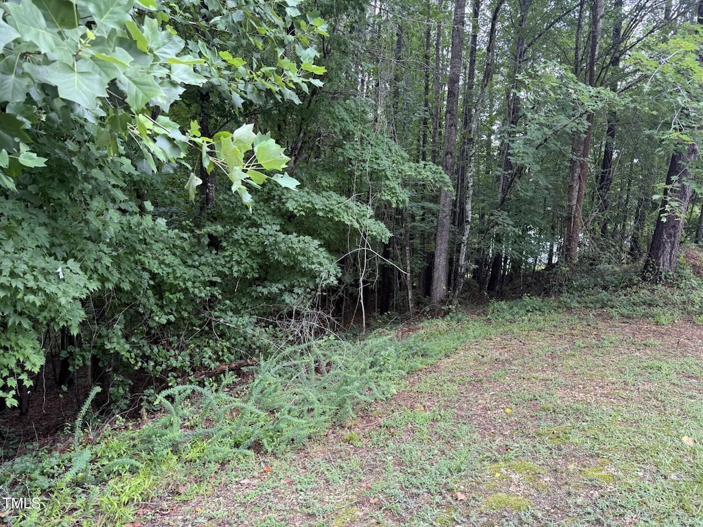 90 Green Way Dr, Clayton, NC 27520 - photo 2