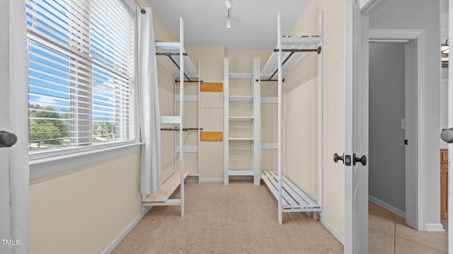 1019 Falkirk Dr, Burlington, NC 27215 - walk in closet featuring carpet floors