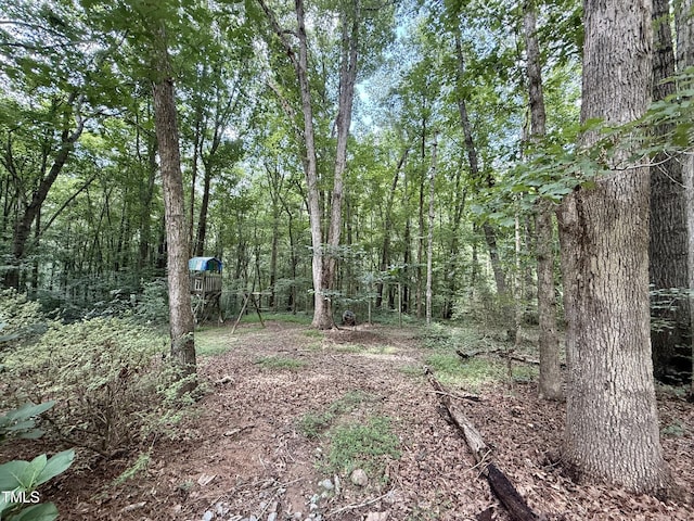 212 Long Needle Dr, Clayton, NC 27520 - photo 25