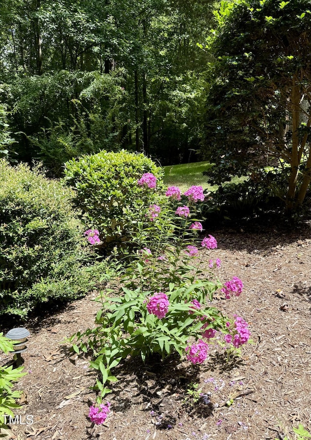 212 Long Needle Dr, Clayton, NC 27520 - photo 26
