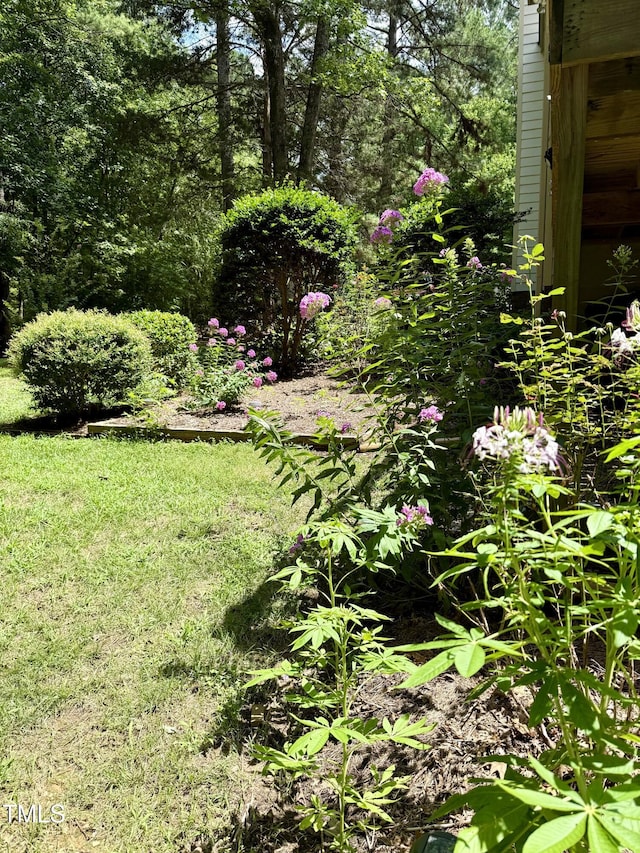 212 Long Needle Dr, Clayton, NC 27520 - photo 27