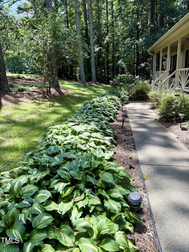 212 Long Needle Dr, Clayton, NC 27520 - photo 30