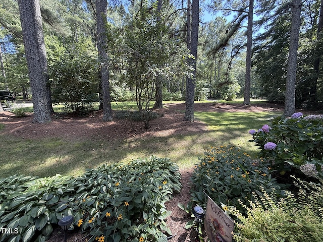 212 Long Needle Dr, Clayton, NC 27520 - photo 34