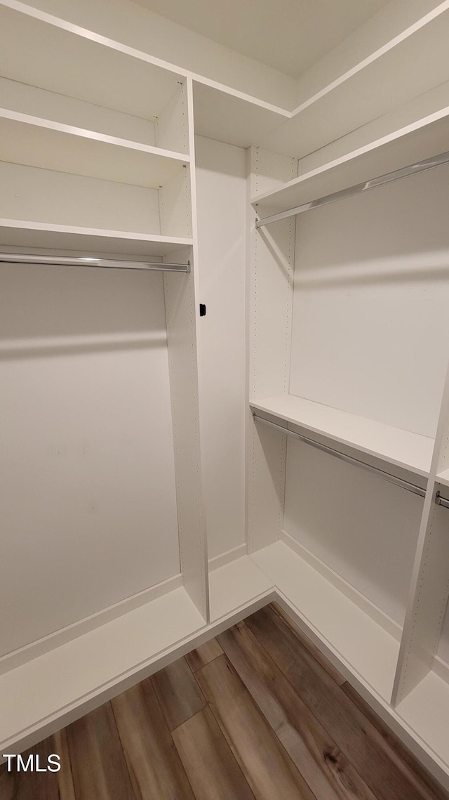 506 Village Branch Ln, Wake Forest, NC 27587 - walk in closet with dark wood finished floors