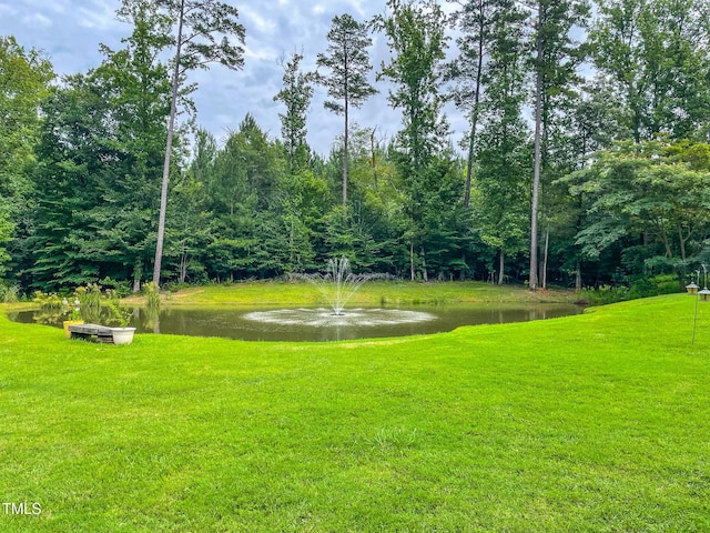 125 Al Gray Rd, Timberlake, NC 27583 - surrounding community featuring a water view, a yard, and a view of trees
