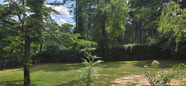 1016 Vesper Ln, Fayetteville, NC 28311 - photo 47