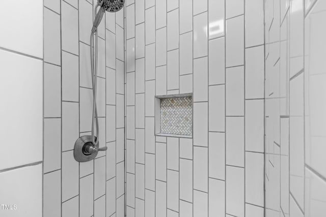 103 Wyseferry Ct, Morrisville, NC 27560 - bathroom view of a package area and a tile shower