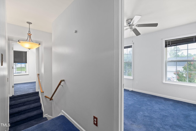5528 Wilhagan Ct, Raleigh, NC 27616 - staircase featuring plenty of natural light, carpet flooring, and a ceiling fan