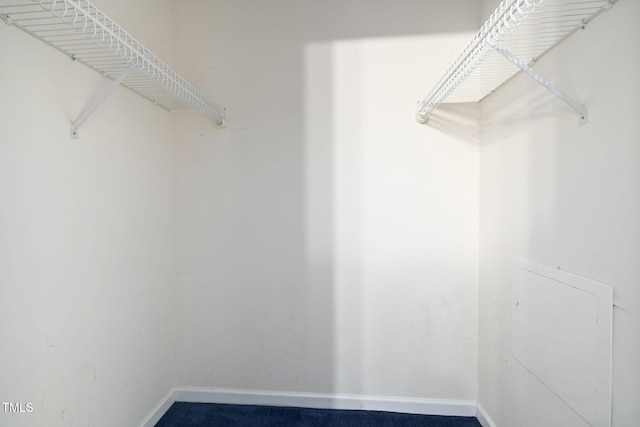 5528 Wilhagan Ct, Raleigh, NC 27616 - view of walk in closet