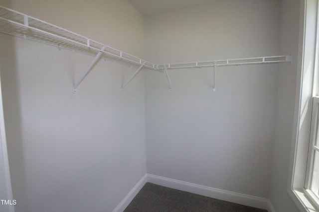 117 Godwin Ct, Sanford, NC 27330 - photo 40