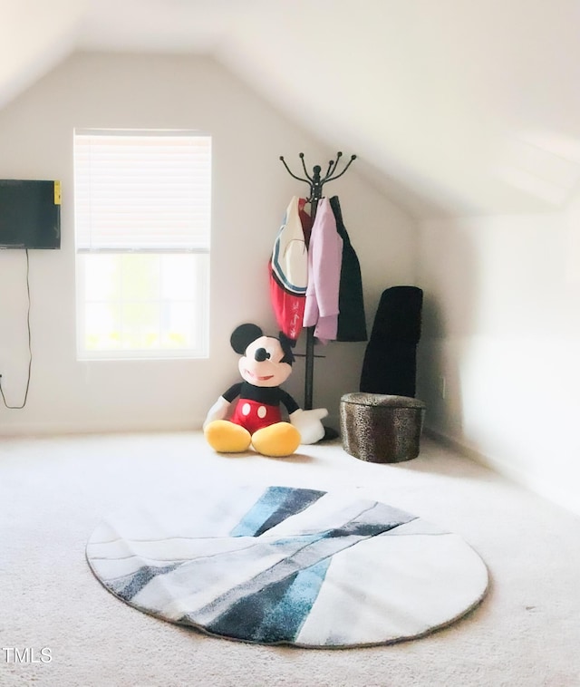 1008 Gold Cir, Mebane, NC 27302 - additional living space featuring carpet and lofted ceiling