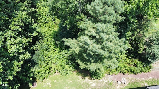 215 Bayberry Woods Dr, Garner, NC 27529 - photo 6