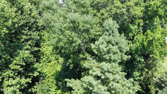 215 Bayberry Woods Dr, Garner, NC 27529 - photo 7