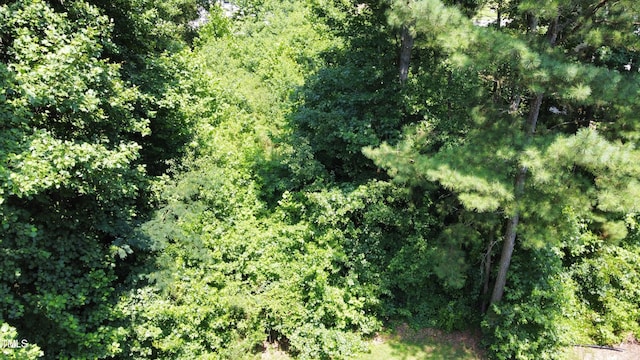 215 Bayberry Woods Dr, Garner, NC 27529 - photo 9