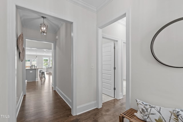 1017 Blackpool Ct, Apex, NC 27502 - corridor with ornamental molding, a chandelier, and dark wood-style floors