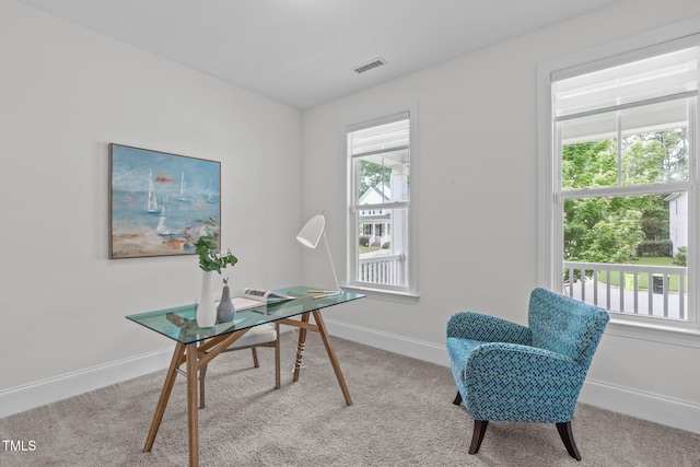 1017 Blackpool Ct, Apex, NC 27502 - carpeted office space with baseboards