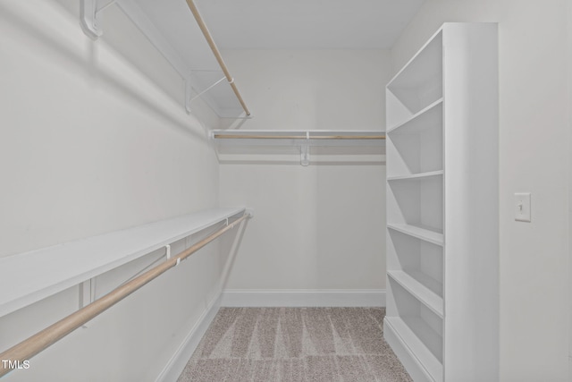 1017 Blackpool Ct, Apex, NC 27502 - walk in closet featuring carpet