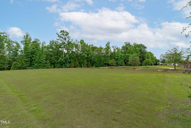 1017 Blackpool Ct, Apex, NC 27502 - view of green lawn