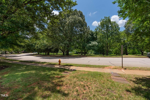 1210 Westview Ln Unit 203, Raleigh, NC 27605 - view of green lawn
