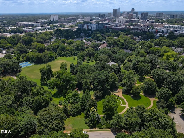 1210 Westview Ln Unit 203, Raleigh, NC 27605 - view of urban area