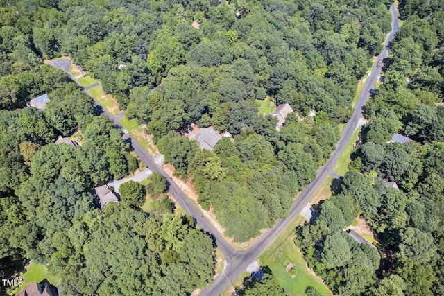 100 Eagle Rock Ct, Chapel Hill, NC 27516 - photo 63