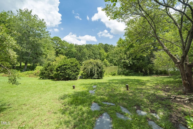 6 Weybridge Pl, Chapel Hill, NC 27517 - photo 28