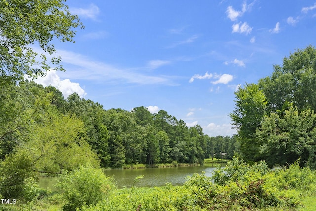6 Weybridge Pl, Chapel Hill, NC 27517 - photo 30