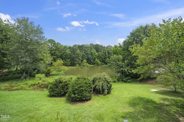6 Weybridge Pl, Chapel Hill, NC 27517 - photo 29