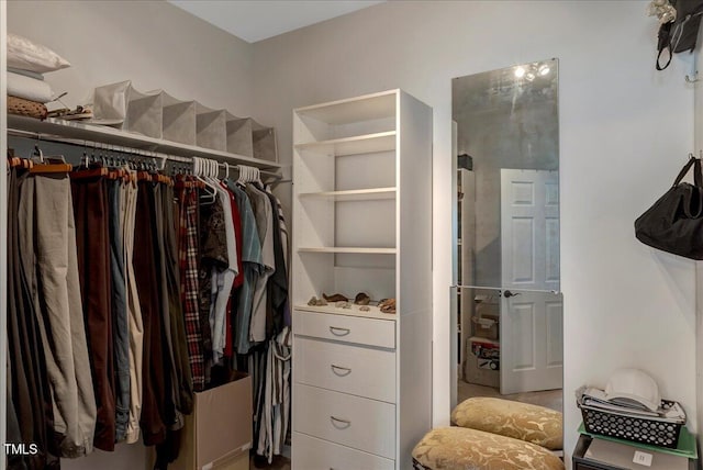 1421 Hopson Downs Ct, Holly Springs, NC 27540 - view of walk in closet