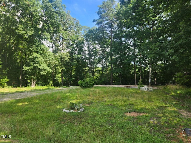 123 Winnebago Loop, Louisburg, NC 27549 - photo 1